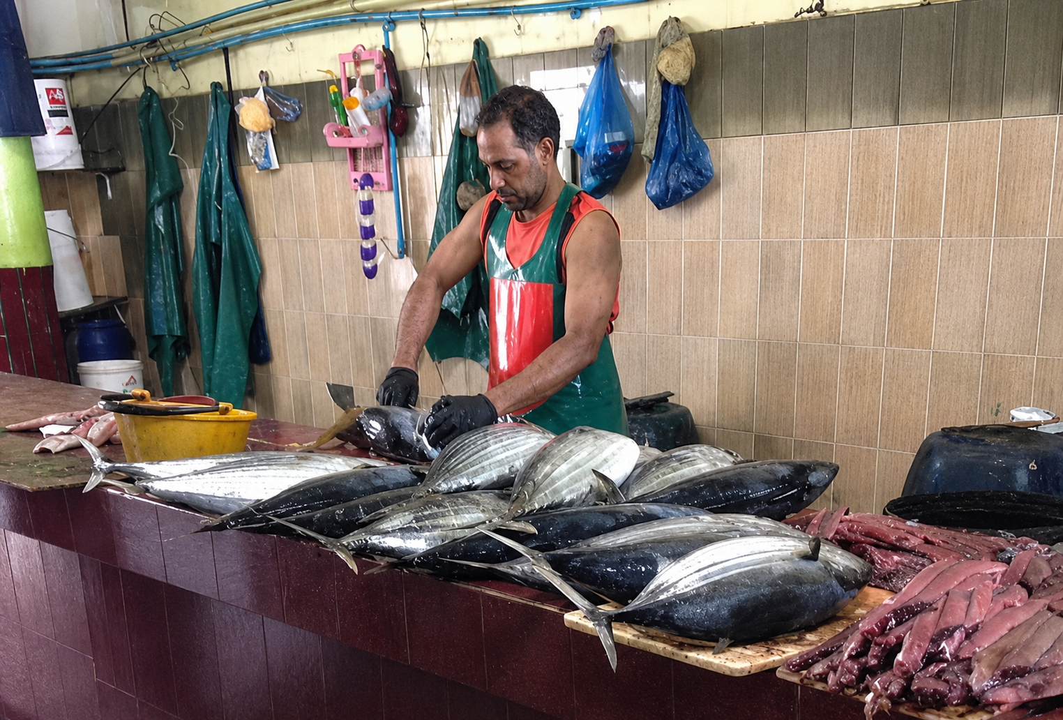 ސަރުކާރުން މަސް ގަންނަ އަގު 18.50 ރުފިޔާއަށް ބޮޑުކޮށްފި