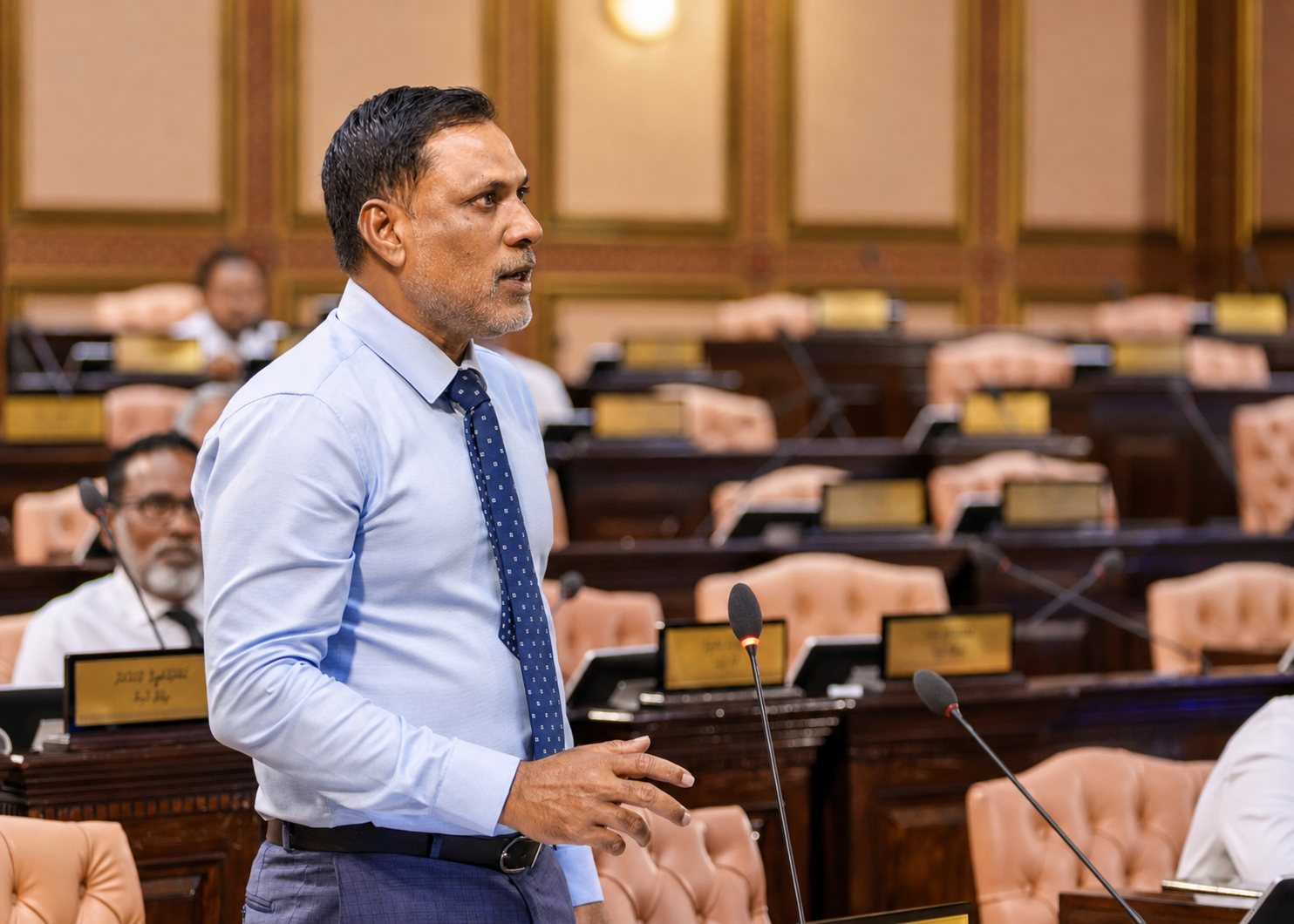 ޑޮކްޓަރ އަޙްމަދު ޝަމްހީދު: ހުޅުމާލެ ދެކުނު ދާއިރާ މަޖުލީސް މެންބަރު