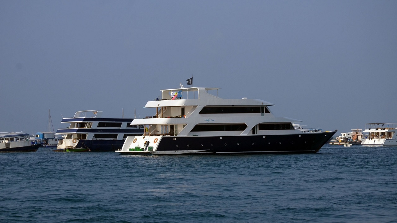 ސަފާރީ ރޭޕް ކޭސް: 3 މީހެއްގެ މައްޗަށް ދަޢުވާ ކޮށްދިނުމަށް ފުލުހުން އެދިއްޖެ