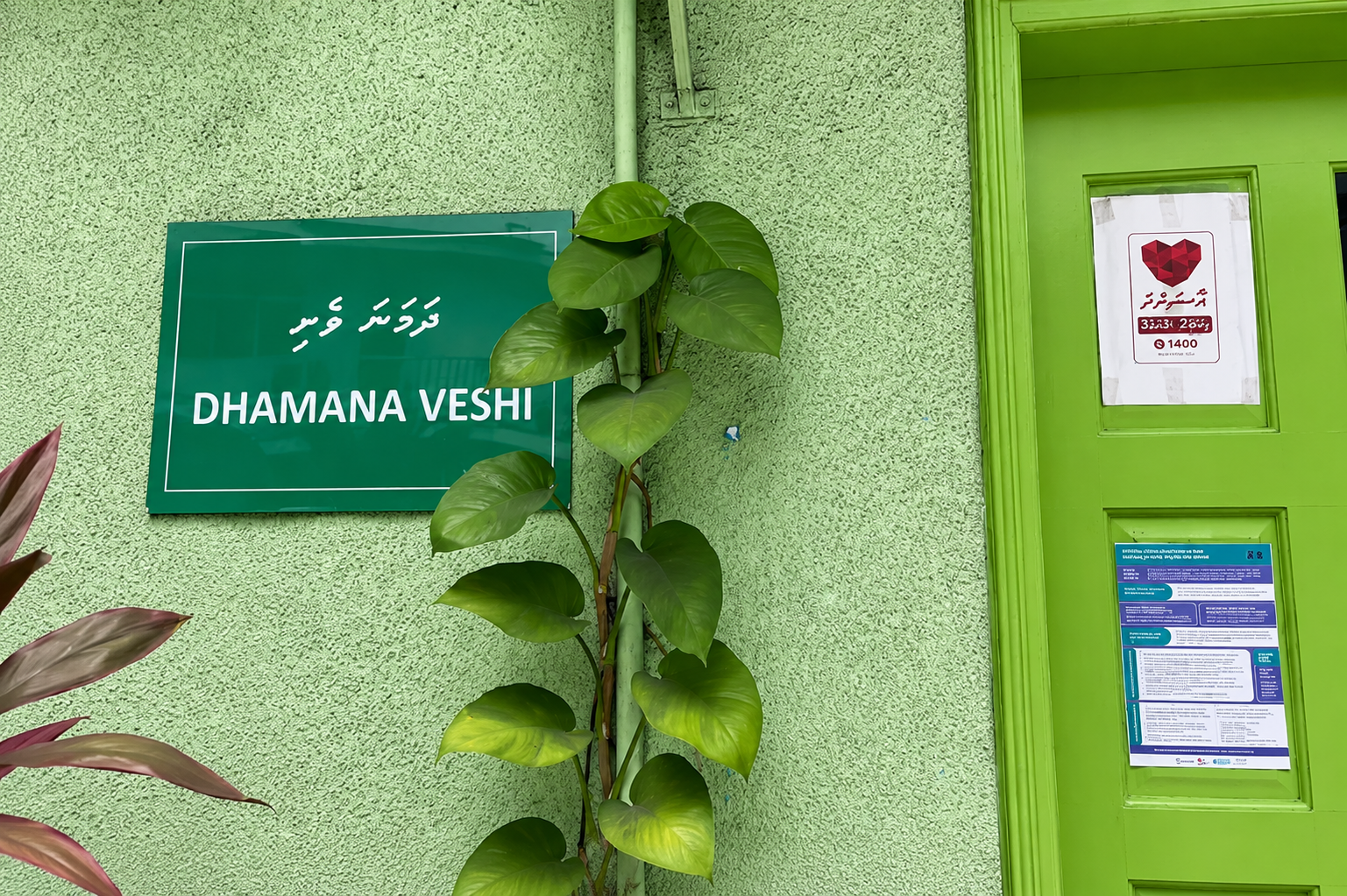 ދަމަނަވެށި