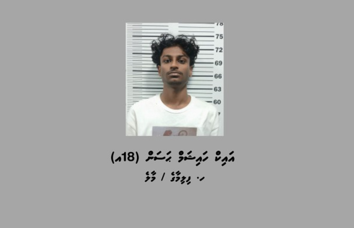 ކާރުން ފުލުހުންގެ ސައިކަލުގައި ޖެއްސި މީހާ ދޫކޮށްލައިފި
