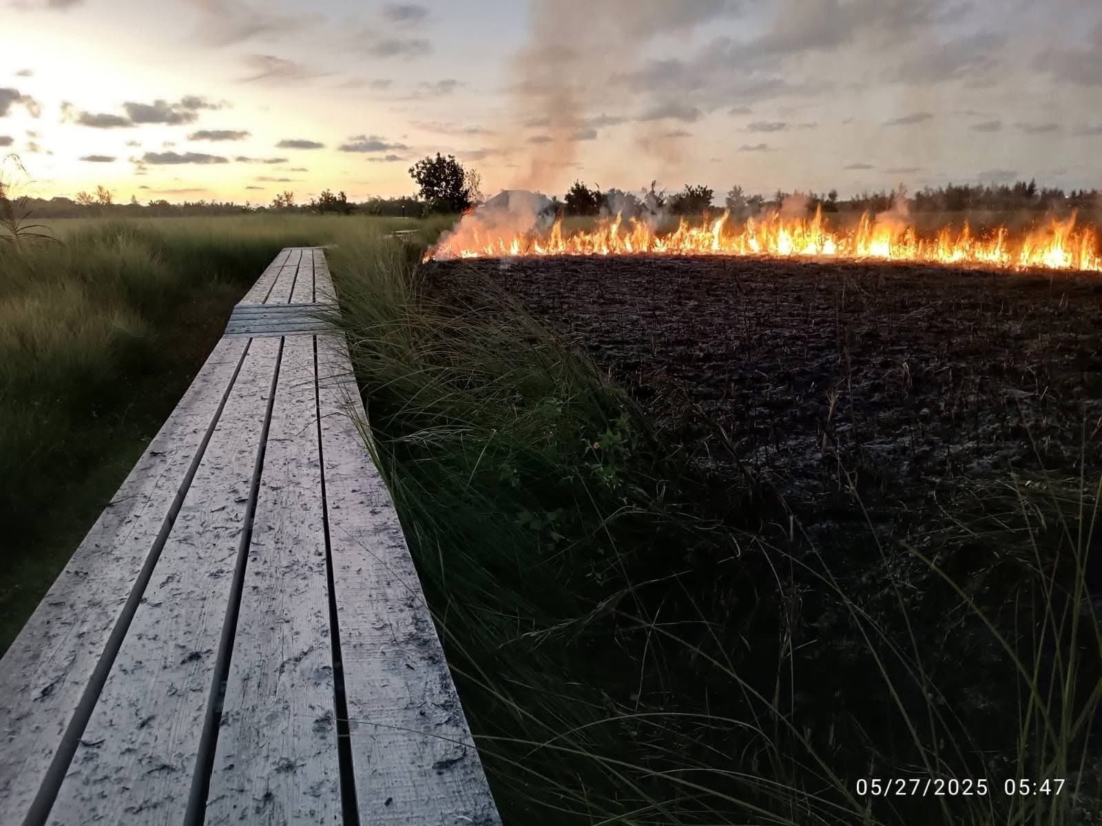 މަތިކިޅިއަށް ގަސްތުގައި ގެއްލުންދޭ ކަމަށް ތުހުމަތުކޮށް ފިޔަވަޅު އަޅަން ގޮވާލައިފި