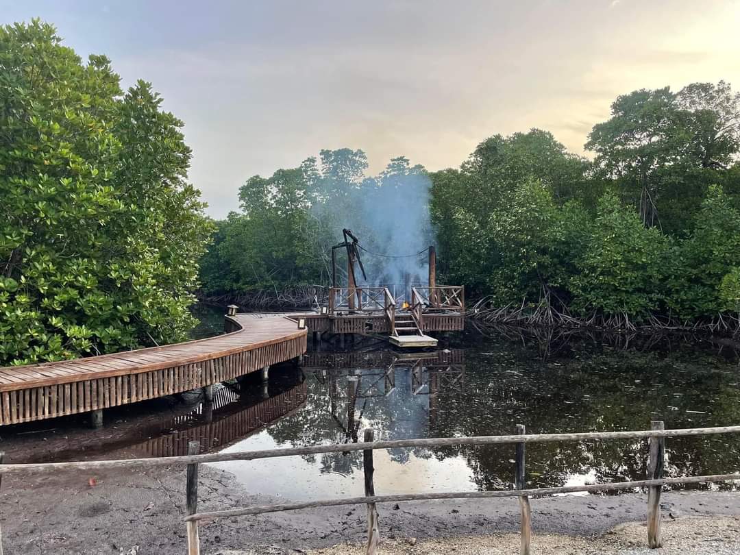 ކުމުންދޫ ނޭޗަރ ޕާކުގައި ބަޔަކު އަލިފާން ރޯކޮށް ގެއްލުންދީފި