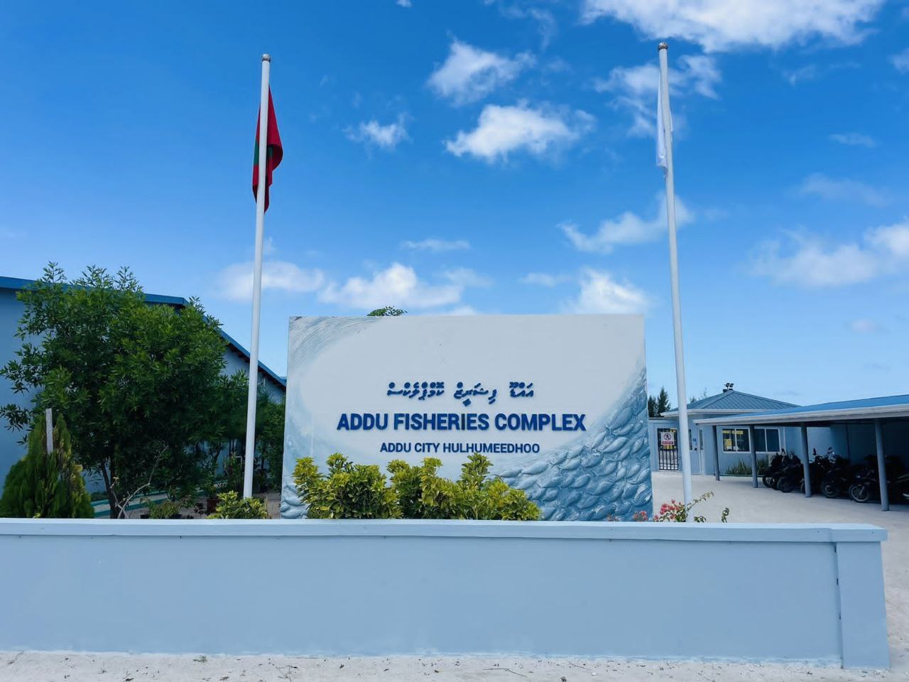 މަސްވެރިންގެ މުޒާހަރާއާ ގުޅިގެން އޭއެފްސީއަށް ލިބުނު ގެއްލުންތަކުގެ އެސެސްމަންޓެއް ހަދަނީ