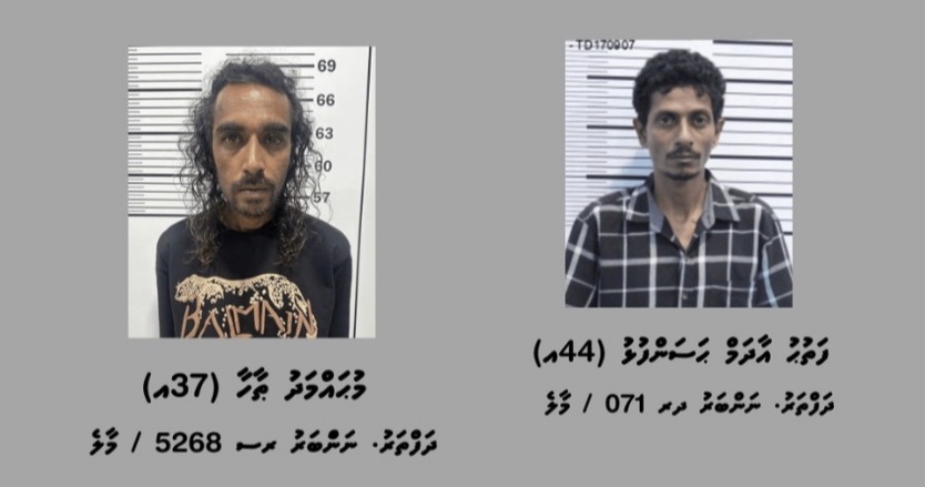 މަސްތުވާތަކެތީގެ މައްސަލަތަކެއްގައި މާލެ ސަރަހައްދުން ދެ މީހަކު ހައްޔަރުކޮށްފި