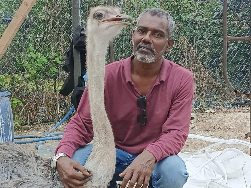 ބަޔަކު ރަހުމުކުޑަކޮށް ފައި ބިންދާލި އޮސްޓްރިޗް މަރުވެއްޖެ