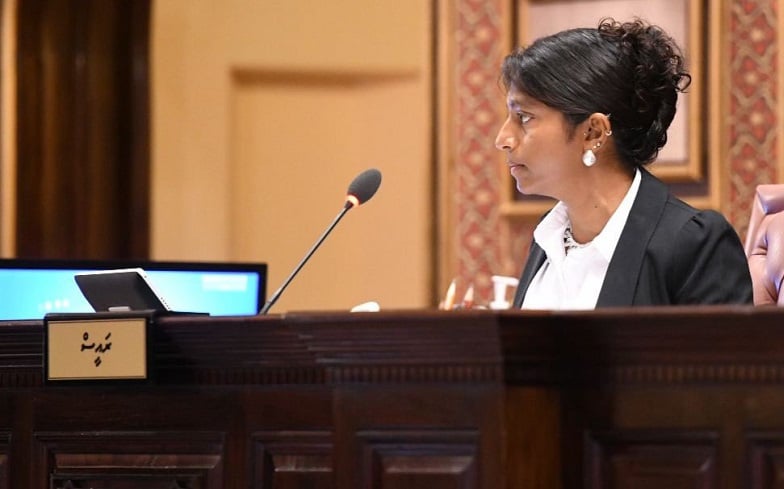 އެޗްއާރުސީއެމްއާއި އެންއައިސީއަށް މެމްބަރަކު އައްޔަންކުރުމުގެ މައްސަލަ ކޮމިޓީއަށް