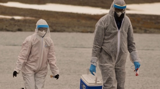 ކެނެޑާއިން ފުރަތަމަ ފަހަރަށް އިންސާނަކަށް ދޫނި ރޯގާ ޖެހިއްޖެ