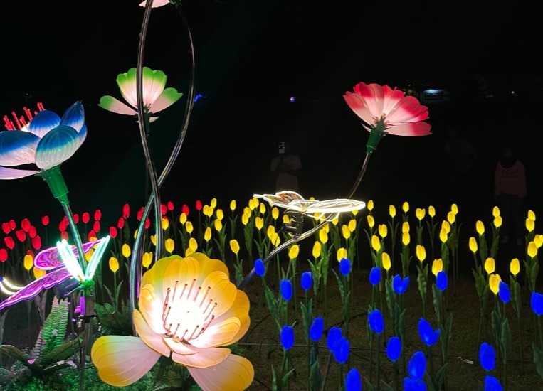 އީދަށް ރަށްރަށަށް ފޮނުވި ލައިޓުތައް ކައުންސިލްތަކުގެ މުދަލުގެ ގޮތުގައި ކަނޑައަޅަނީ