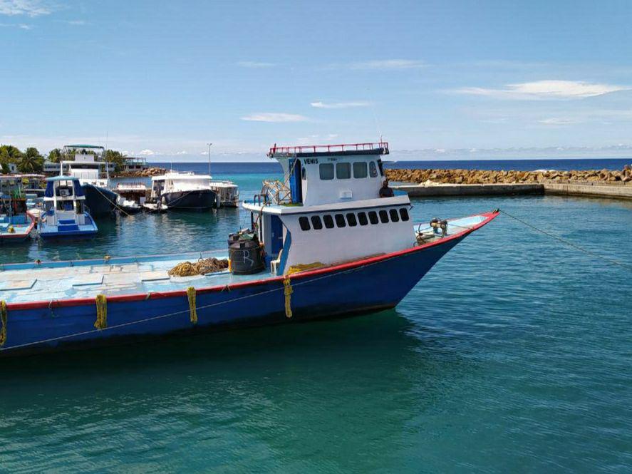 ބަސްނުވިކޭ އޮޑިއެއްގެ ދިރުނބާކޮޅަށް ނާރާށެވެ.