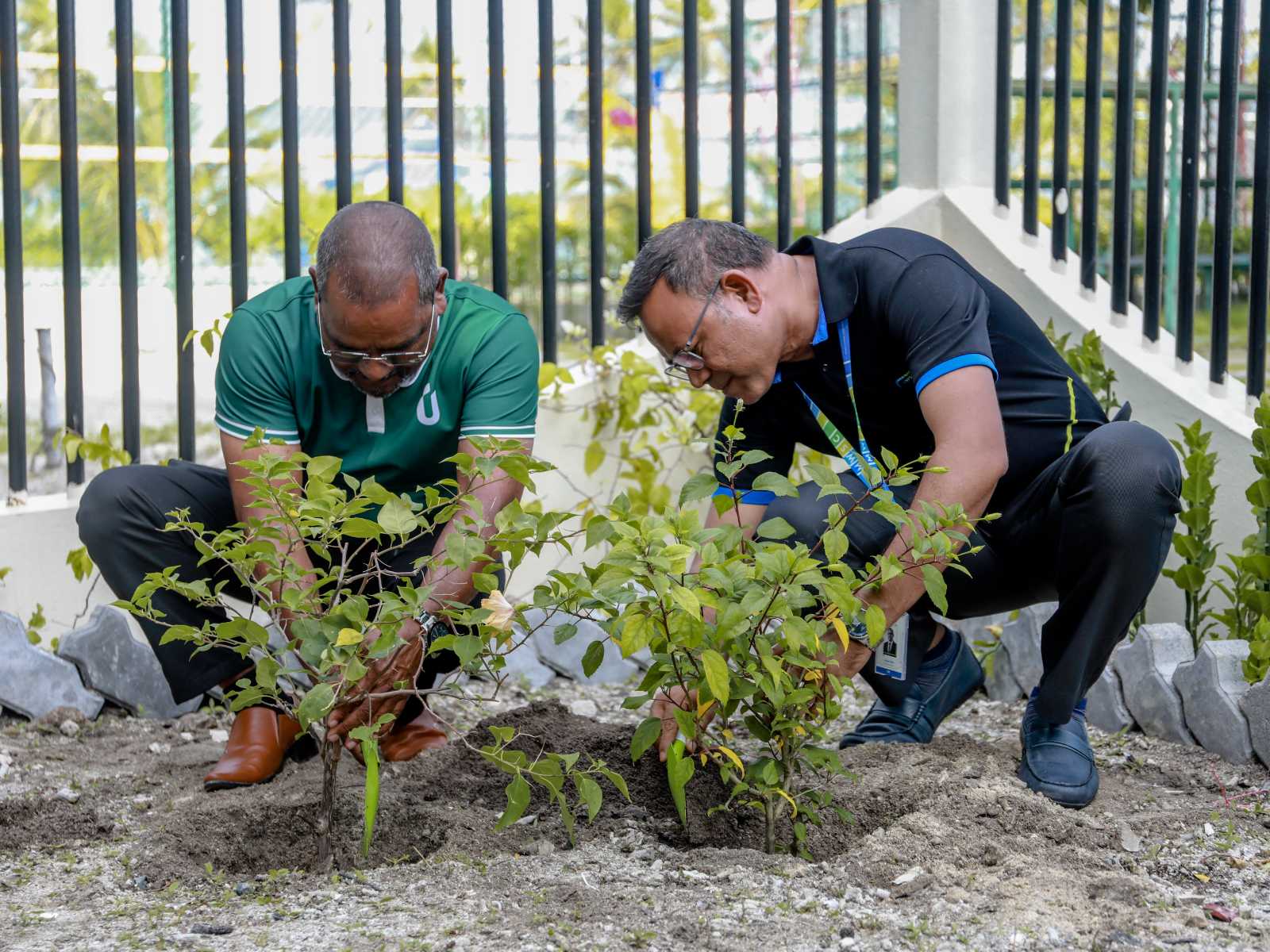 ފެން ކުންފުނިން ތިމާވެށީގެ ދުވަސް ފާހަގަ ކުރުމަށް ހާއްސަ ހަރަކާތްތަކެއް