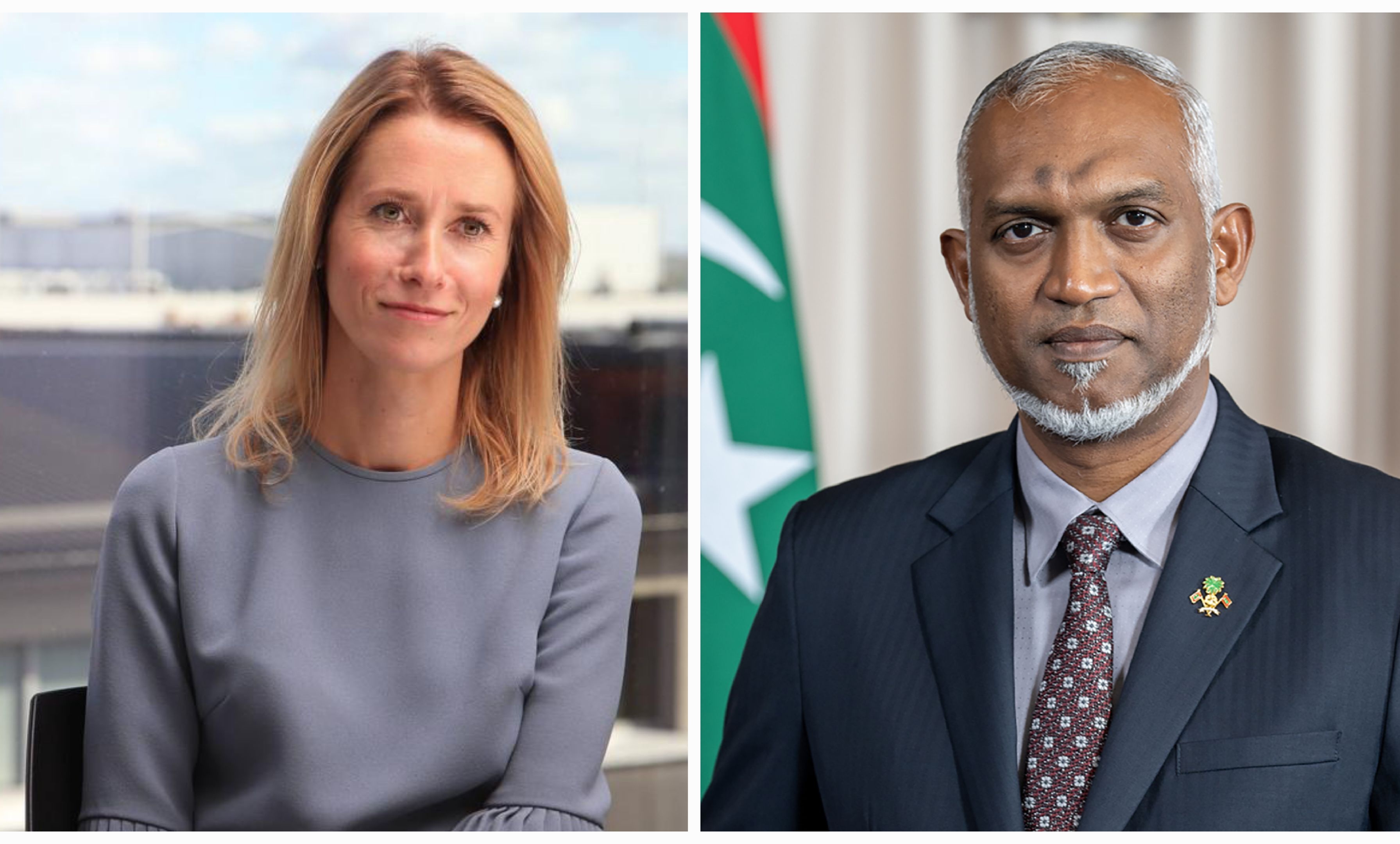 އެސްޓޯނިއާގެ މިނިވަންދުވަހުގެ ތަހުނިޔާ ރައީސް ފޮނުއްވައިފި