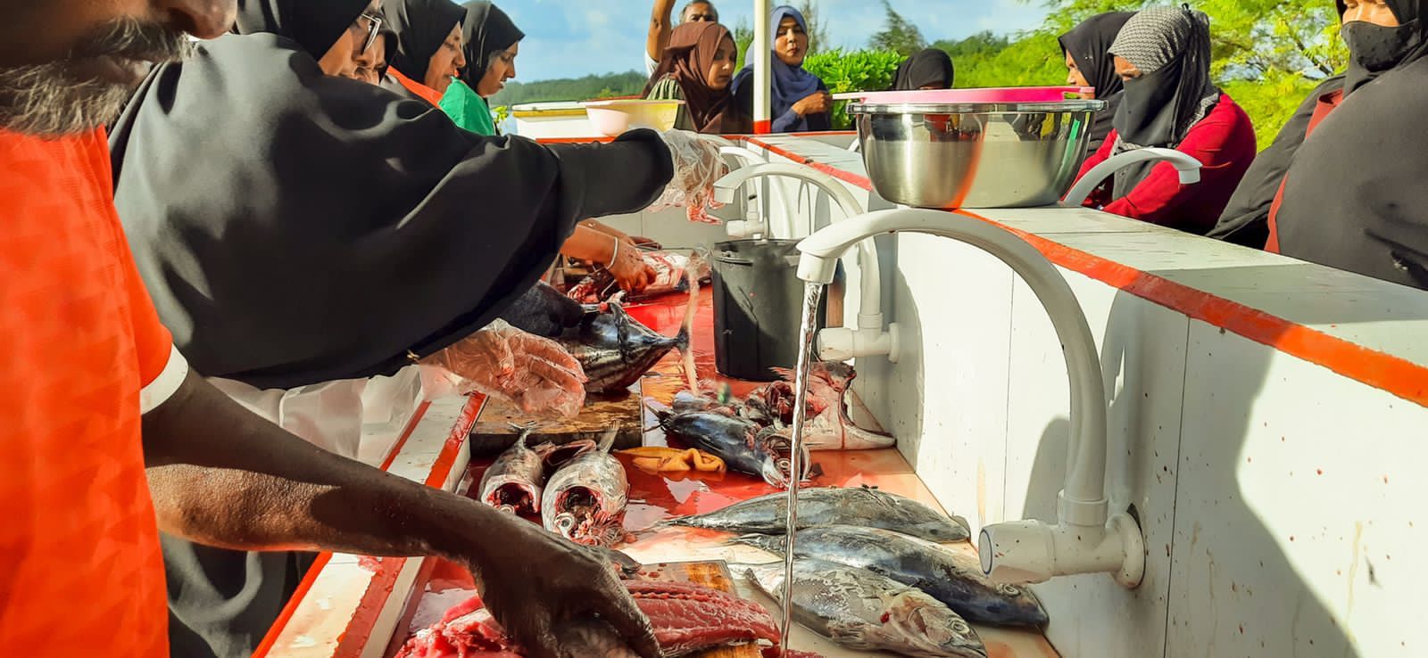 ބީއެމްއެލްގެ އެހީގައި ނ. މާޅެންދޫގައި މަސްކަނޑާ ތަނެއް ތަރައްގީކޮށްފި