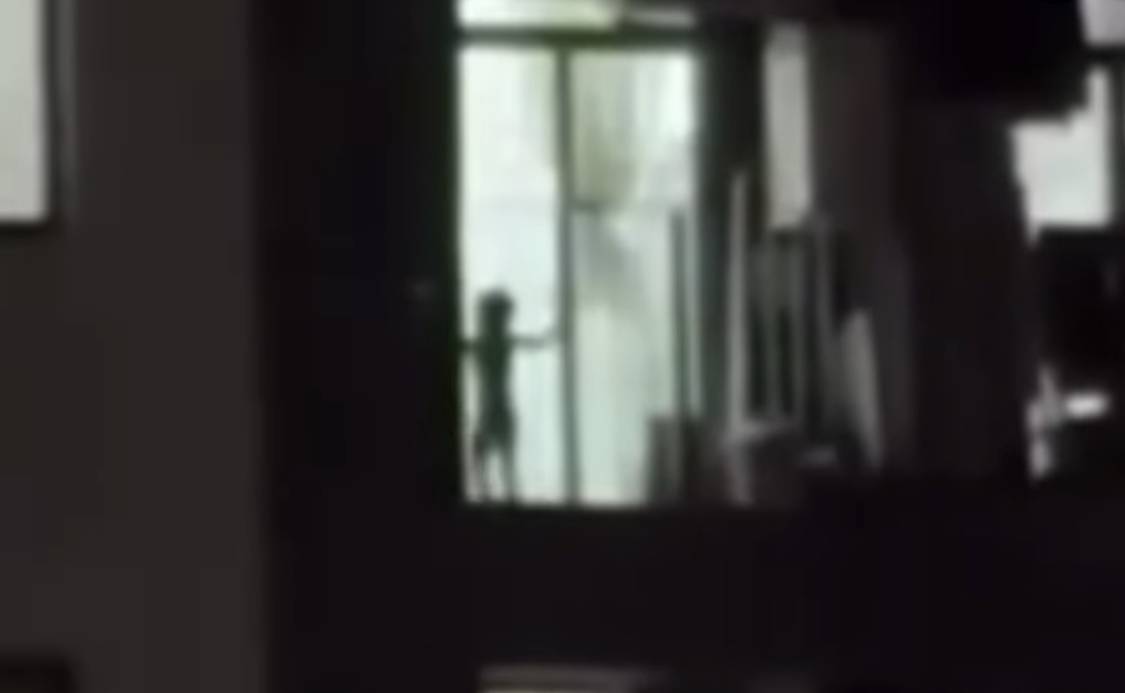 ރޭގަނޑު ކުޑަކުއްޖަކު ހިޔާ ފްލެޓެއްގެ ބެލްކަންޏަށް ނެރެ ރޮއްވާ މަންޒަރު ފެންނަ ވީޑިއޯއެއް!