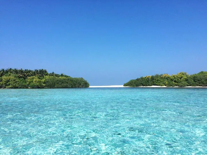 ކަޑިތީމުގައި އެއް އަހަރުގެ ކުއްޖަކު ގެނބިގެން މަރުވެއްޖެ