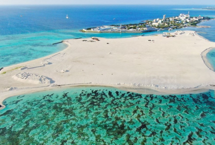 މާފުށިން 308 ގޯތި ދޫކުރަނީ