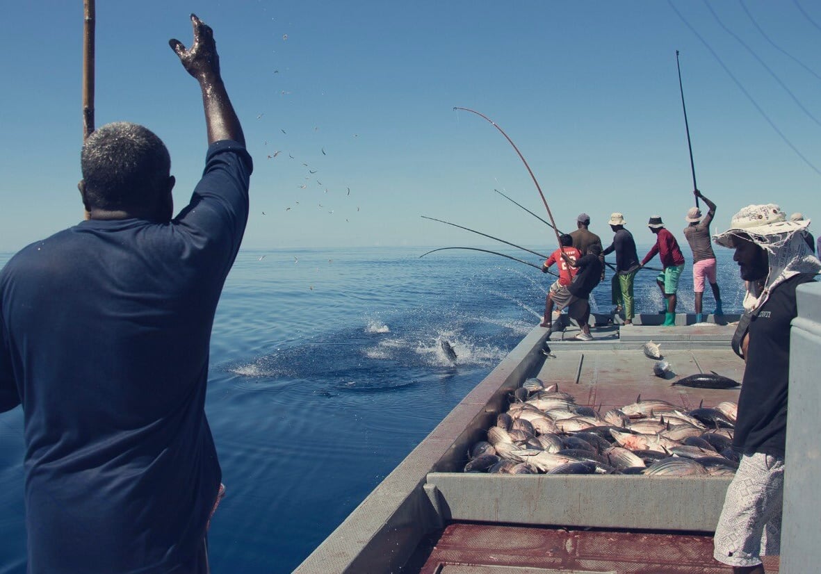 މަސްވެރިކަމާ ގުޅޭ ކޮމިޓީތަކުގެ މެމްބަރުކަމަށް ކުރިމަތިލާން ހުޅުވާލައިފި