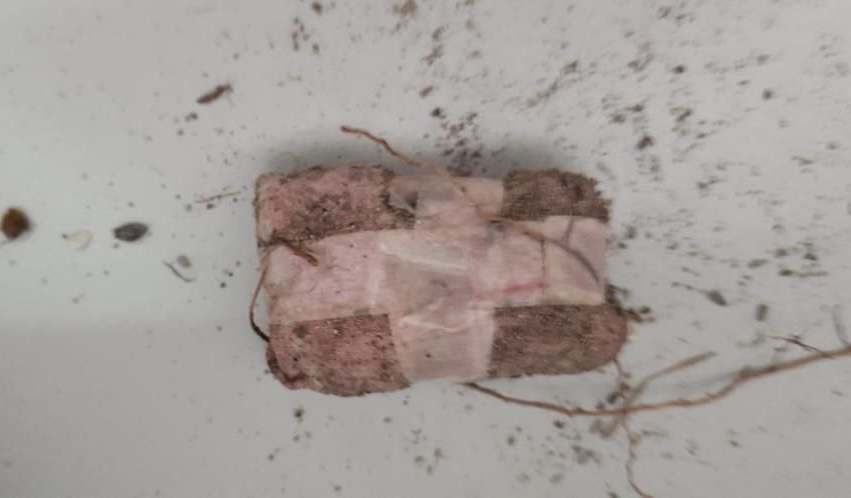 ސަހަރާއިން ނެގީ ސިހުރު ހަދާފައި ވަޅުލާފައިހުރި ފިލާކޮޅުތަކެއް: ސިޓީ ކައުންސިލް