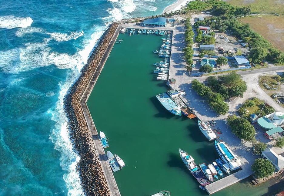 ފުވައްމުލަކުގައި މަގުމައްޗަށް ވެއްޓިފައިއޮތް ކުއްޖެއްގެ ޙާލު ސީރިއަސް