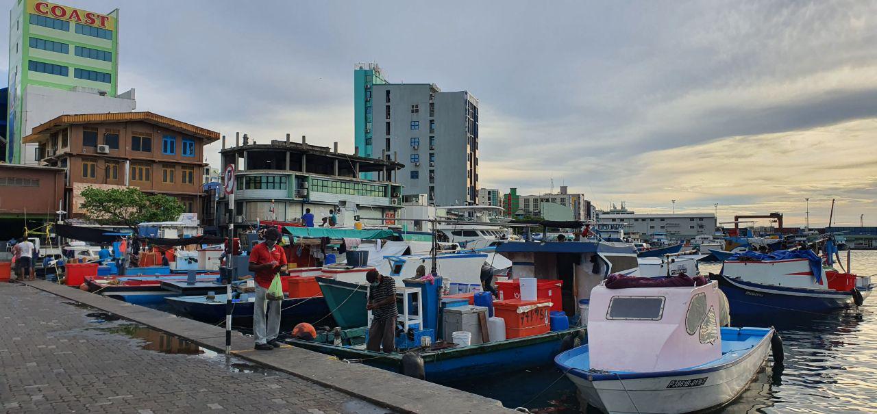 މާލޭގައި ތިބި އިތުރު 500 މީހުން ކަރަންޓީން ފެސިލިޓީއަށް ގެންދިއުމަށް މަސައްކަތް ކުރަނީ