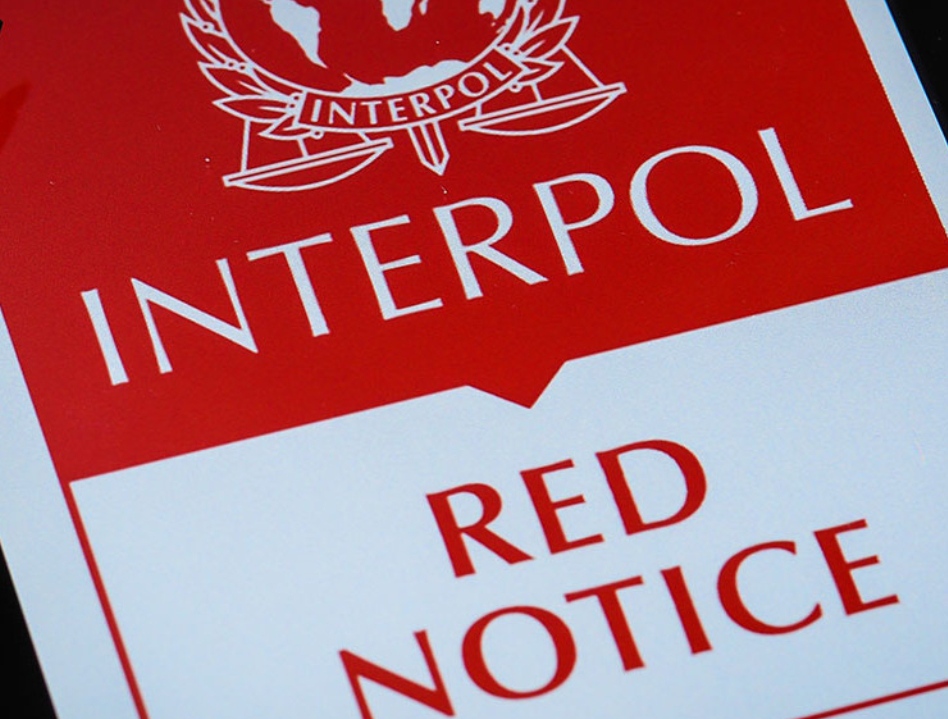 ރާއްޖެއިން ފިލި މީހަކު އިންޓަޕޯލް މެދުވެރިކޮށް ހައްޔަރުކޮށްފި