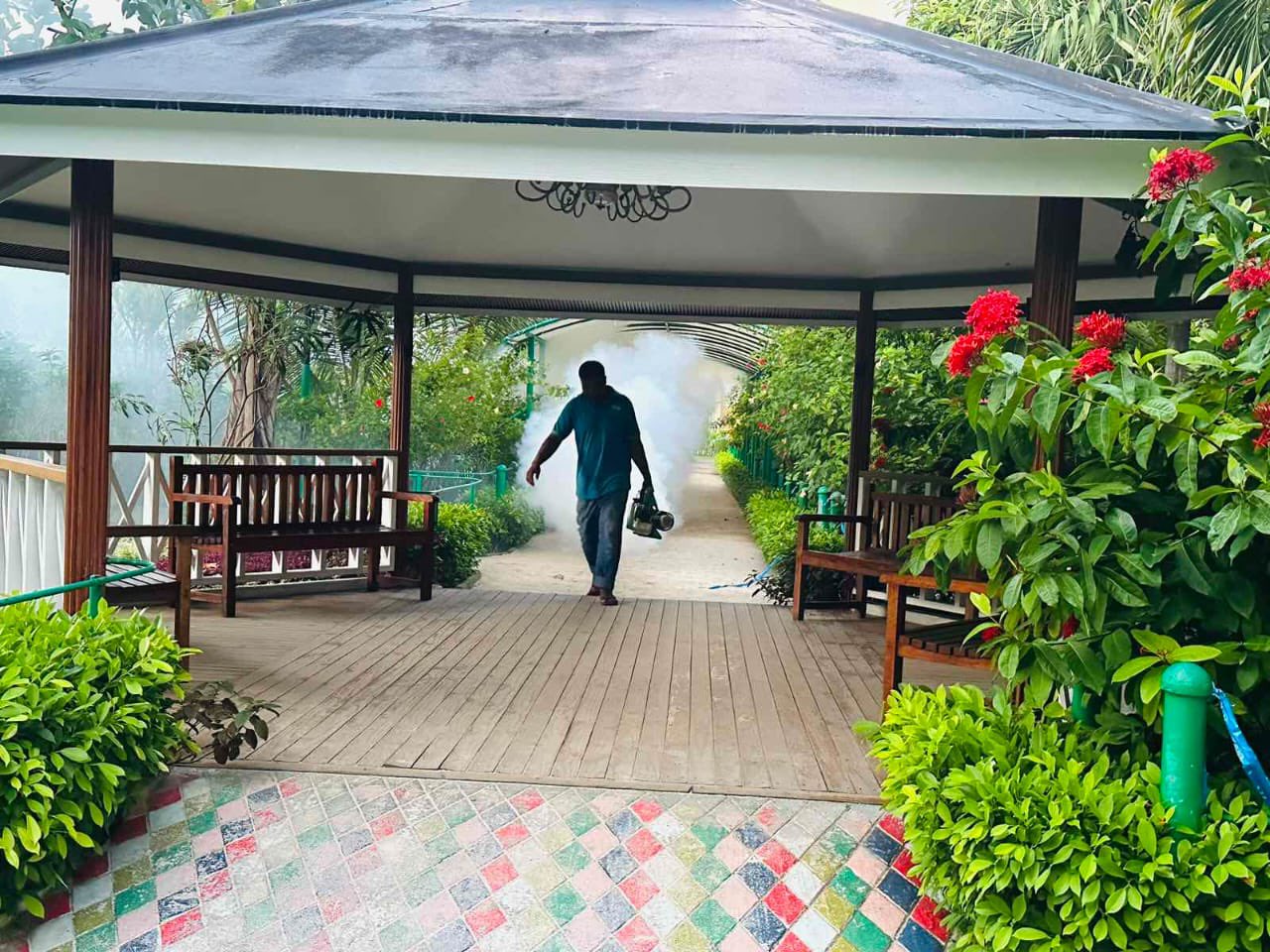 ޗިކުންގުންޔާ ފެތުރޭވަރު ކޮންޓްރޯލެއް ނުވޭ؛ ކޭސްތަކުގެ އަދަދު 170އަށް