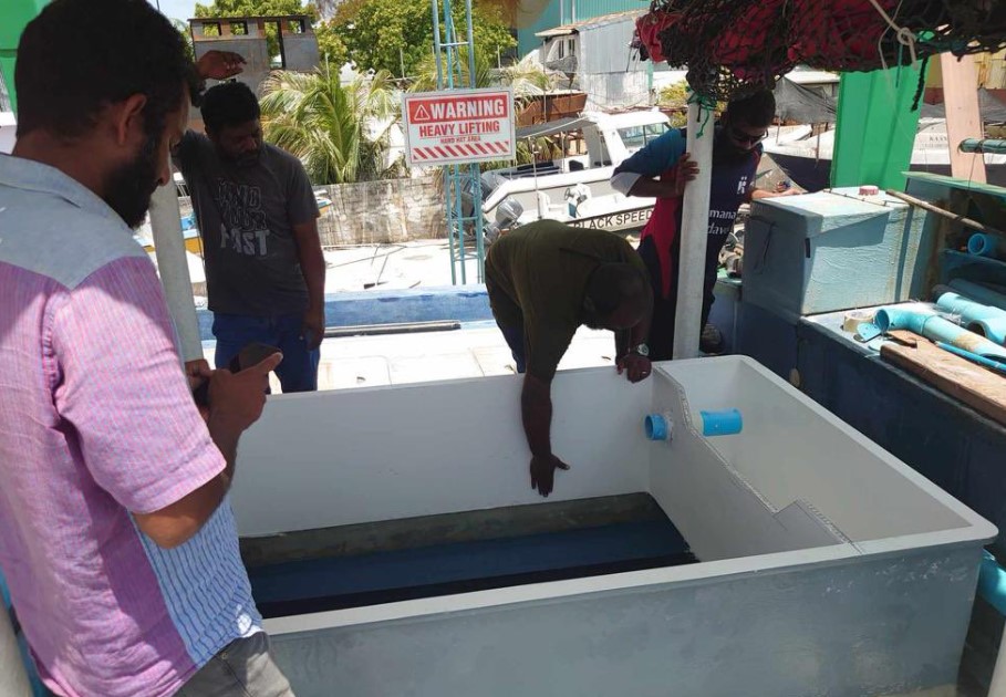 ޖަޕާނުގެ އެހީގައި އެން ގެންގުޅުމާ ގުޅޭ ދިރާސާއެއް ފަށައިފި