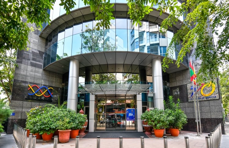 އަންހެނުންނަށް ޚާއްޞަކޮށްގެން ސްޓެލްކޯއިން އިލެކްޓްރީޝަން ކޯހެއް ފަށަނީ