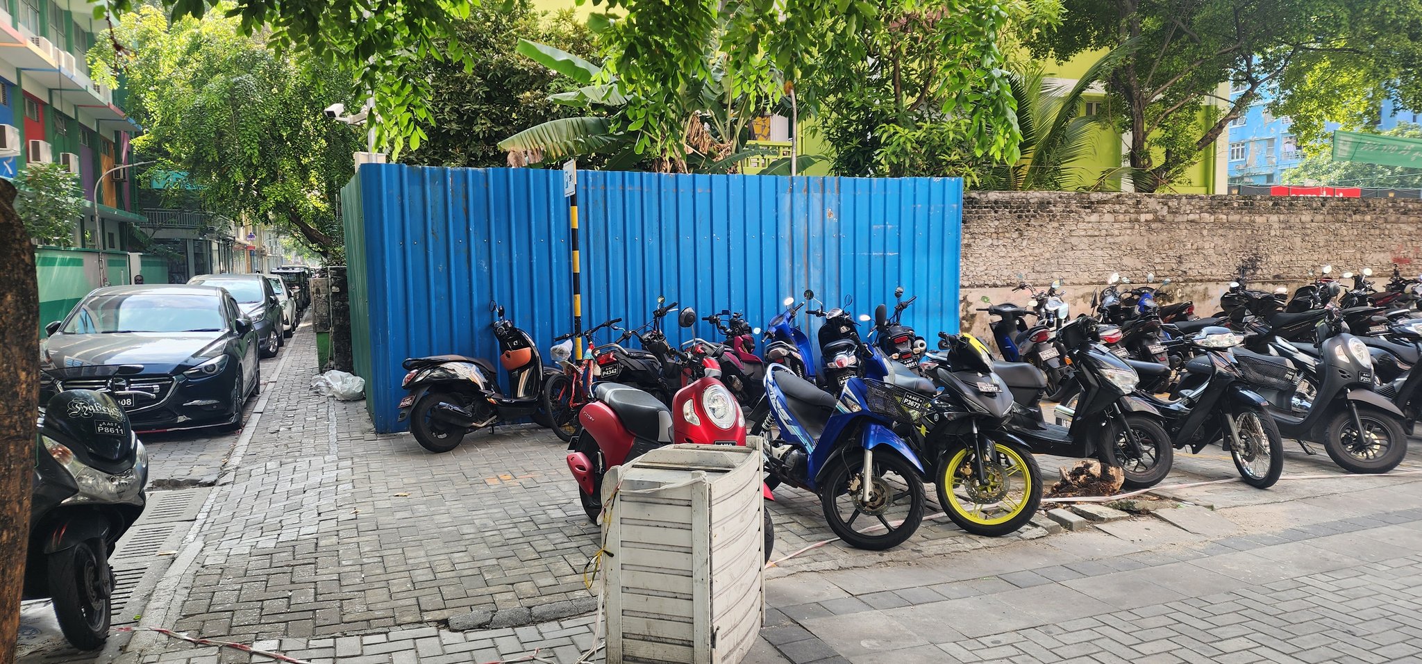 ގާކޮށިން ބަންދުކޮށްފައިވާ ބައި ޕާކިންއަށް ހުޅުވާލަނީ