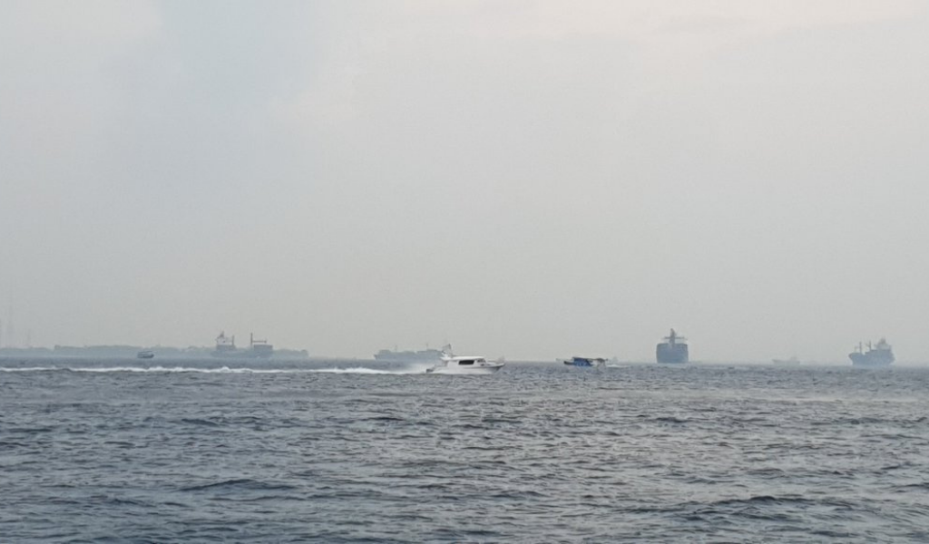 ރާއްޖެ ސަރަހައްދުގެ ވައި ނުސާފުވާ މިންވަރު އިތުރުވާތީ ރައްކާތެރިވުމަށް އިލްތިމާސްކޮށްފި