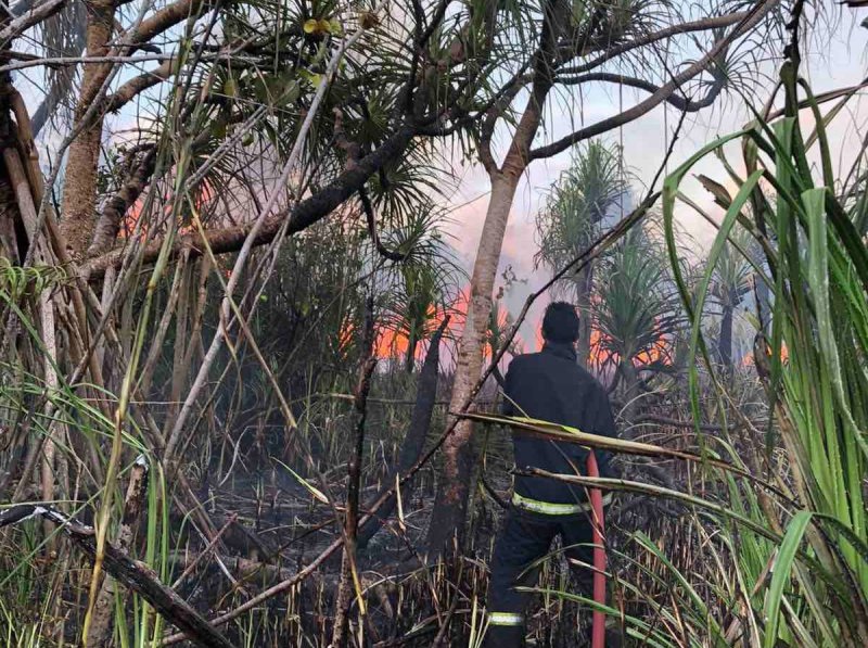 އައްޑޫ ކުޅީ ސަރަހައްދުގައި އަލިފާން ރޯވެއްޖެ