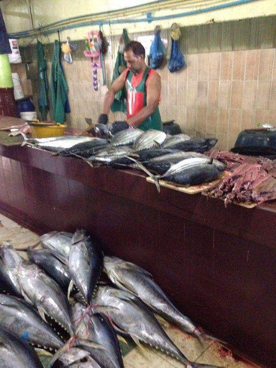 މަސްމާރުކޭޓް ބޭނުން ކުރެވޭނެ އިންތިޒާމެއް ހަމަޖައްސަނީ