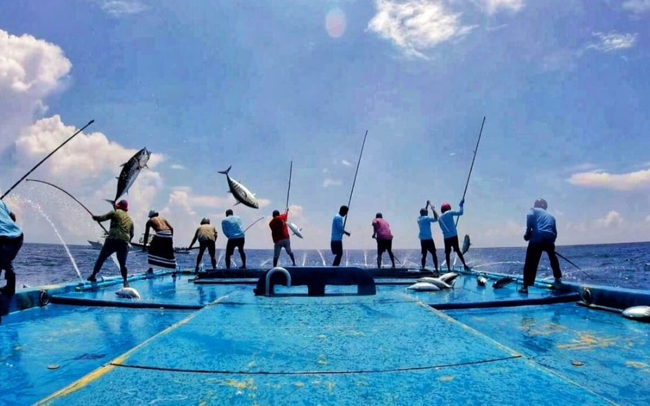 ކަނޑުފަޅު ނަފާ ލޯނު ޕްރޮގްރާމަށް ހުށަހެޅުމަށް ހުޅުވާލައިފި