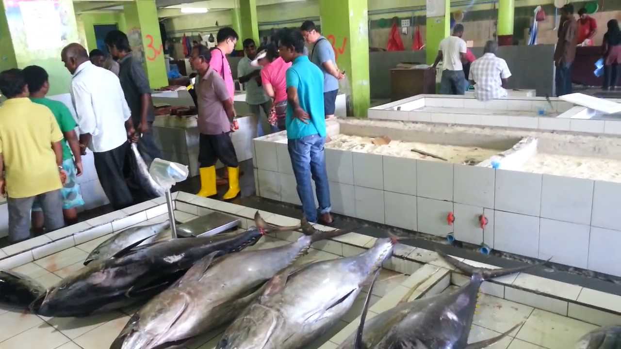 އަށިމަތީގައި މަސް ބަހައްޓައިގެން ވިއްކޭނެ ގޮތަށް އުސޫލު ބަދަލުކޮށްފި