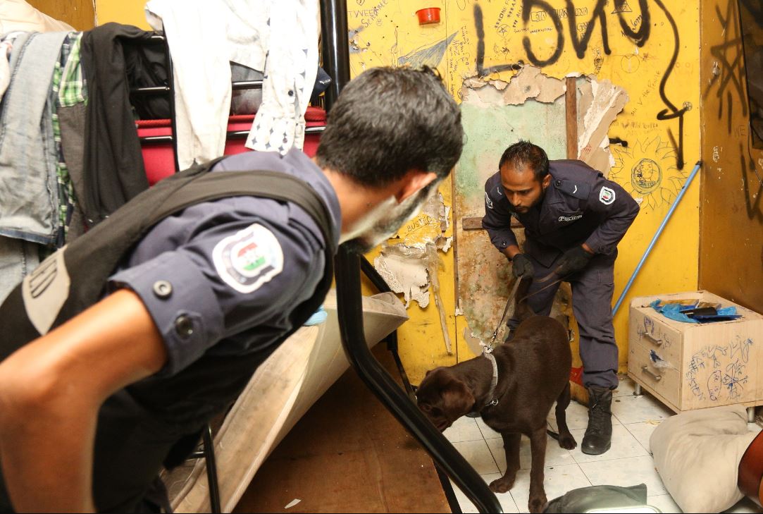 މަސްތުވާތަކެތި އެތެރެ ކުރާ ދެ ދޮރާށި ގާތްގަނޑަކަށް ބަންދު ކުރެވިއްޖެ: ހޯމް މިނިސްޓްރީ