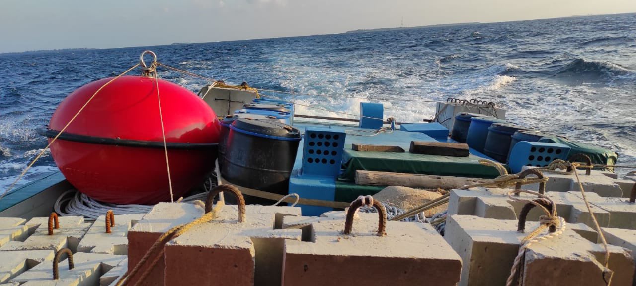 5 ރަށެއްގެ ދޮށިމަސްކަނދު އަލުން އެޅުމުގެ މަސައްކަތް ފަށައިފި