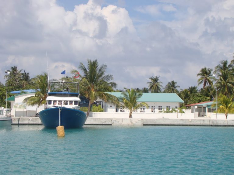 ދާންދޫގައި ހަށި ވިއްކި މީހުންގެ ބަންދަށް 15 ދުވަސް ޖަހައިފި