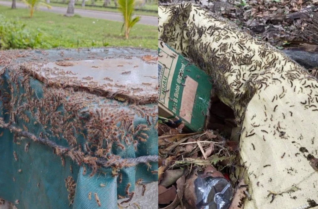 ކާޑެއްދޫ އެއާޕޯޓަށް ދިމާވެފައިވާ ހުވަނީގެ މައްސަލަ ހައްލު ކުރަން އެހީފޯރުކޮށްދީފި