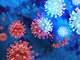 އެމެރިކާގައި ކޮވިޑުގެ އާވައްތަރެއް ފެތުރެމުންދަނީ