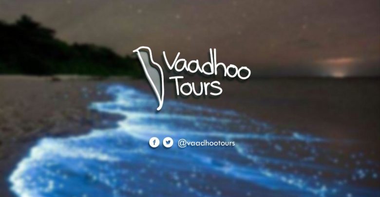 ރ. ވާދޫ ލޯކަލް ޓުވަރިޒަމްގައި މުޅިން އާ ހަރުފަތަކަށް