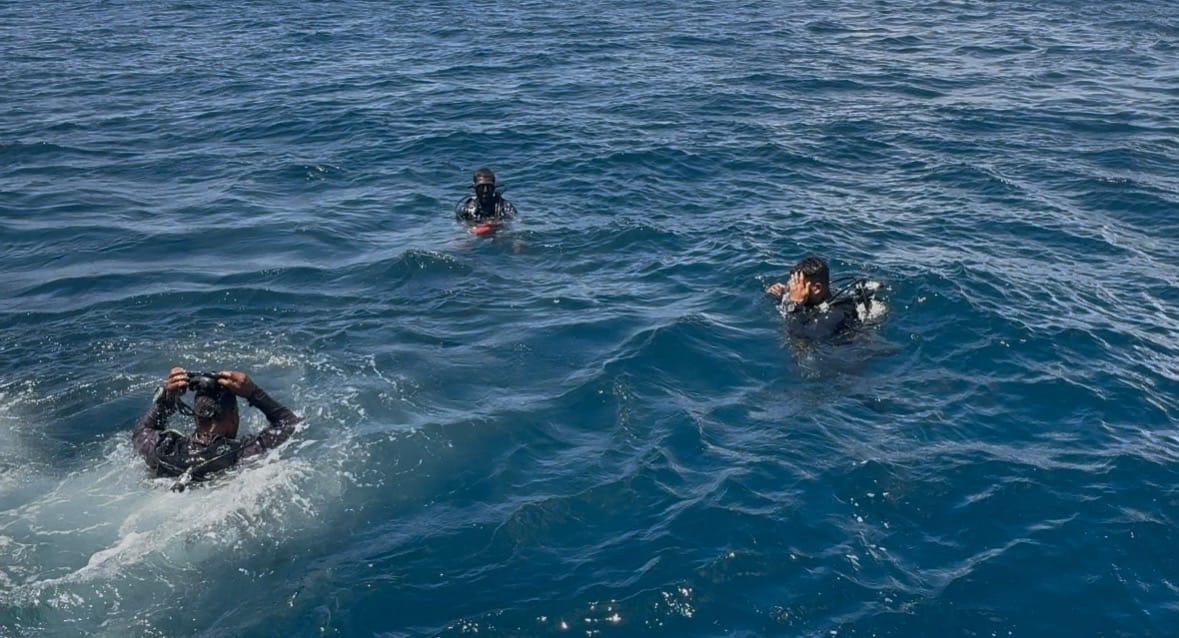 ޑައިވިނަށް ފޭބި ފަތުރުވެރިއަކު ގެއްލިގެން ހޯދަނީ