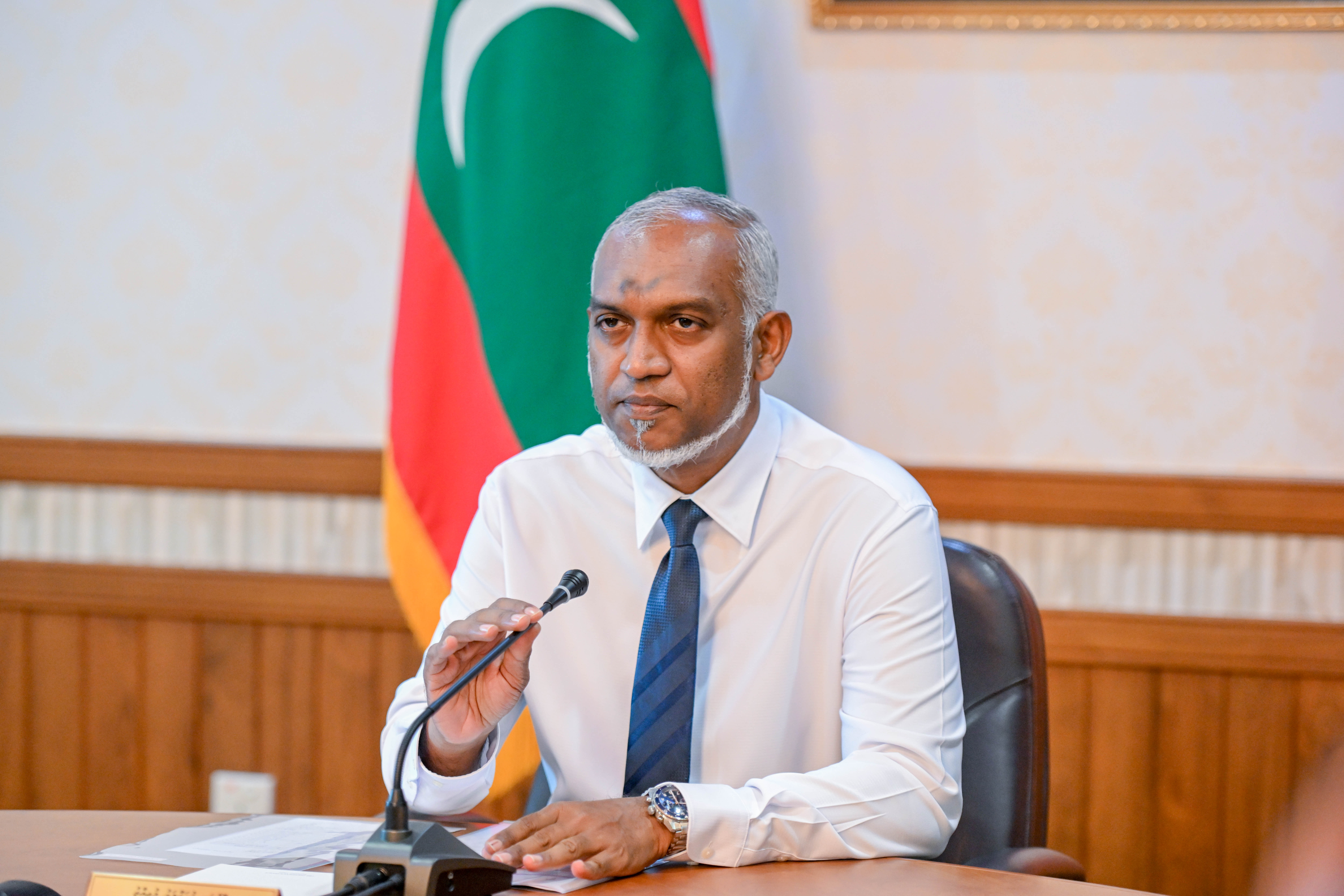 ތެލެސީމިއާ ކުދިންގެ ދުޅަހެޔޮކަމަށް މަސައްކަތް ކުރައްވާނެ ކަމަށް ރައީސް ވިދާޅުވެއްޖެ