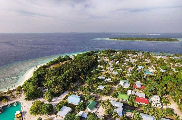 މާޅޮސް މޮނިޓަރިންގއަށް!