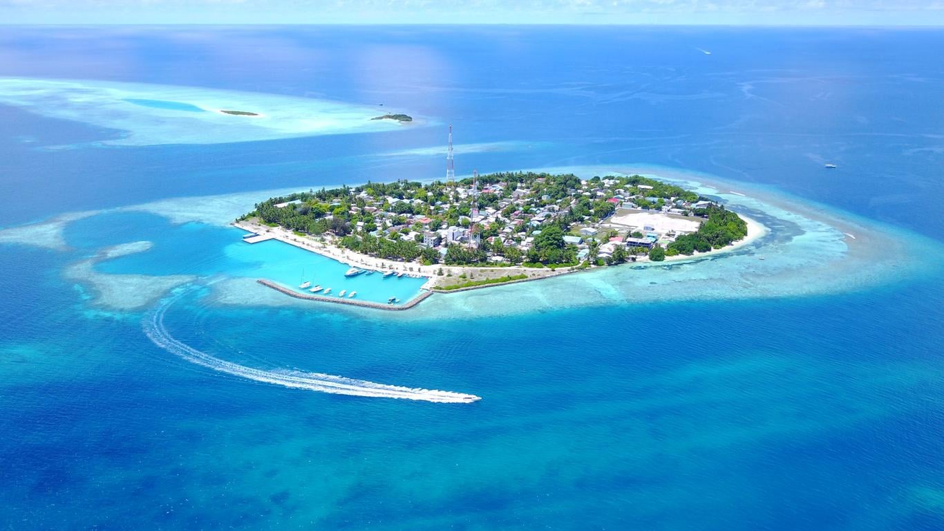 ހަށިވިއްކަމުންދިޔަ ބަޔަކު ރަސްދޫއިން ހައްޔަރުކޮށްފި