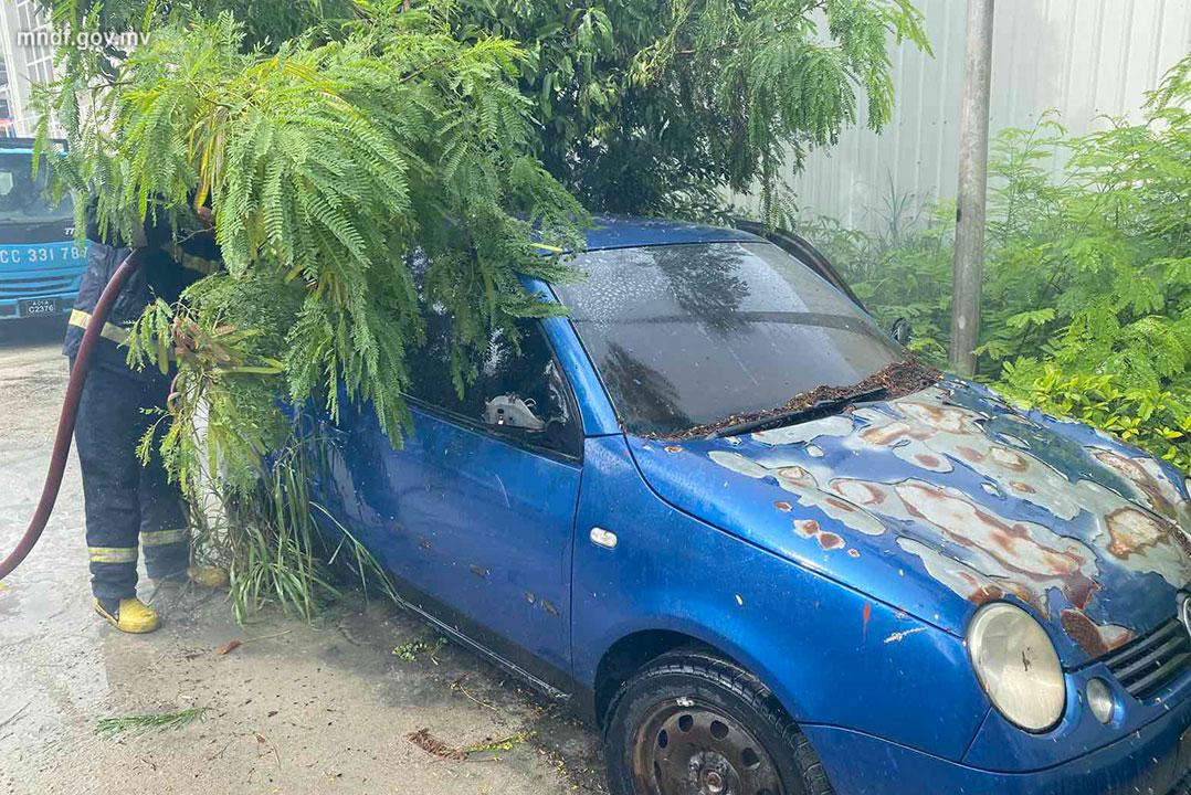 ހުޅުމާލޭގައި އޮތް ކާރެއްގައި ރޯވި އަލިފާން ނިއްވާލައިފި