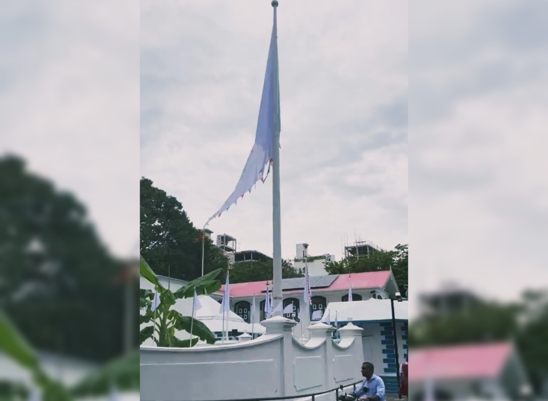 30 އަހަރަށްފަހު މެދުޒިޔާރަތުގައި ދިދަ ނަގައިފި؛ ބައެއް އިލްމުވެރިންގެ ކަންބޮޑުވުން