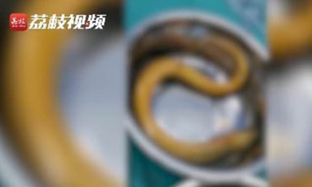 ބަނޑު ހަރުވުމުން ފުރަގަސްފަރާތަށް ވެނެއް ލައިގެން ބަނޑުތެރޭގައި ވެން ތާށިވެއްޖެ