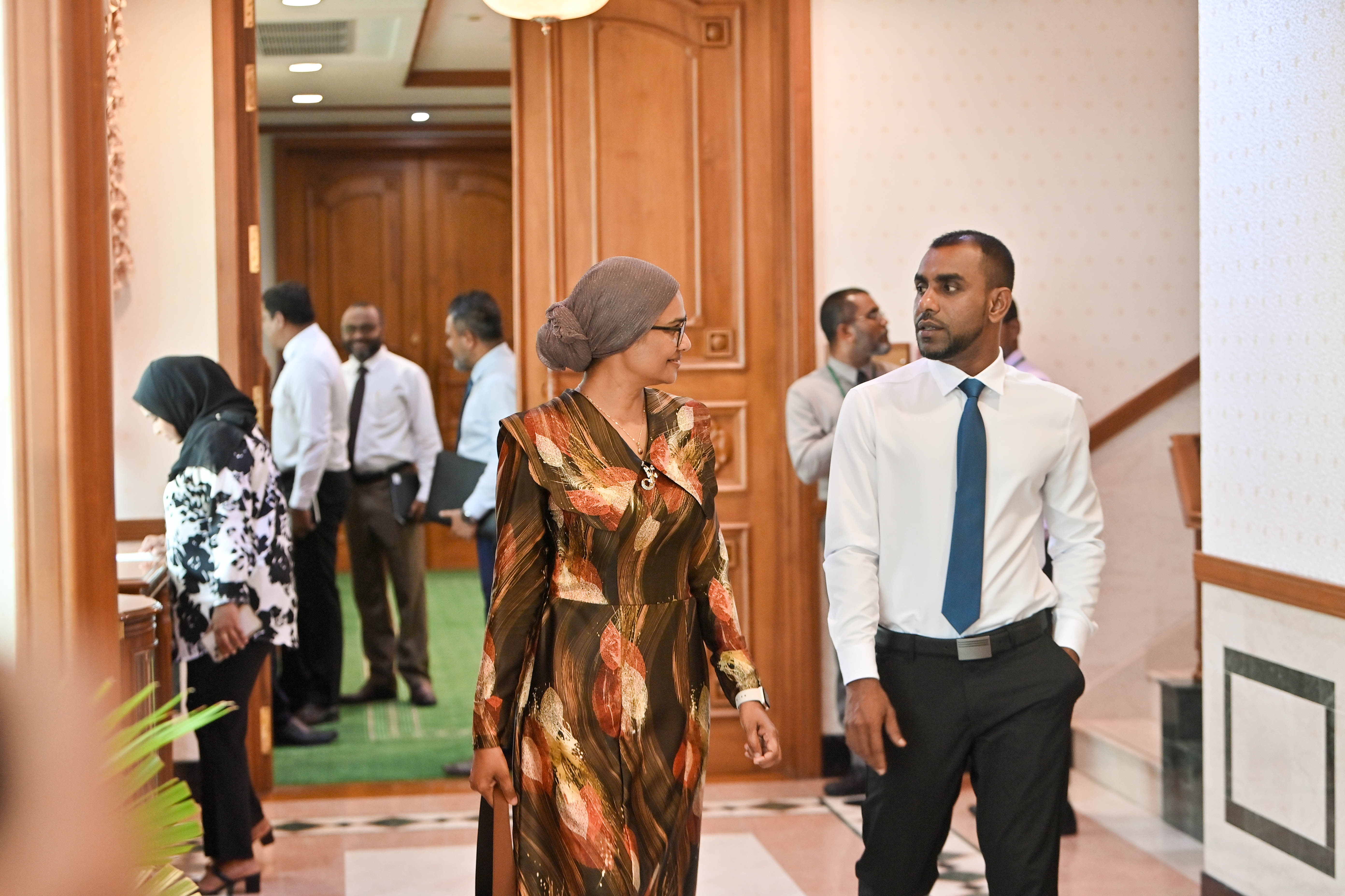 ވަޒީރުންގެ ރަށްވެހިކަމާ ގުޅޭ މައުލޫމާތު ސާފުކުރުމަށް ކޮމިޓީން ފާސްކޮށްފި