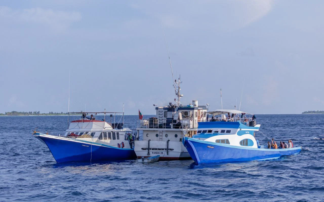 މަހާއި މަހުގެ އުފެއްދުންތަކުން ދަޢުލަތަށް 74 މިލިޔަން ޑޮލަރުގެ އާމްދަނީއެއް