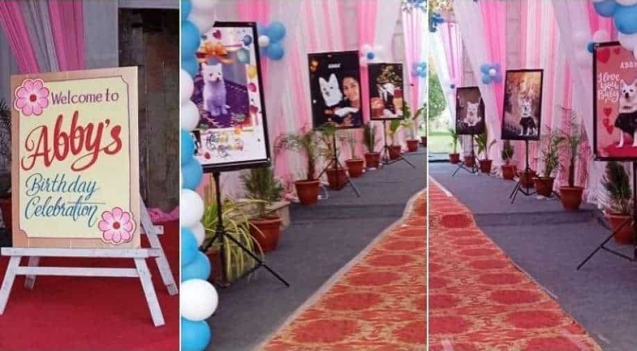 ކާފިއުގެ ގަވާއިދާ ހިލާފަށް ޖަނަވާރެއްގެ އުފަންދުވަސް ފާހަގަކުރި ބަޔަކު ހައްޔަރުކޮށްފި